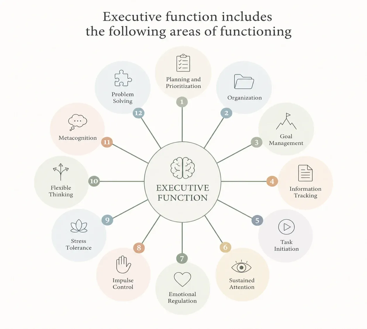 Diagram of twelve executive function areas arranged around a central brain: planning and prioritization, organization, goal management, information tracking, task initiation, sustained attention, emotional regulation, impulse control, stress tolerance, flexible thinking, metacognition, and problem solving.